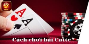 Cách Chơi Catte 6 Cây - Hướng Dẫn Chi Tiết Từng Bước Dễ Hiểu