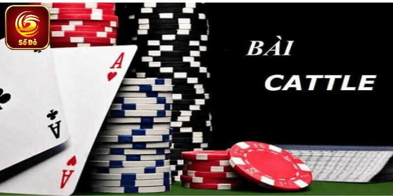 Cách chơi Catte 6 cây và luật dễ hiểu cho người mới