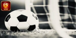 Kèo 1/4 Là Gì? Phương Pháp Soi Kèo Dự Đoán Chuẩn Xác