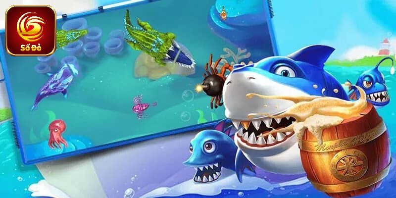 Kinh nghiệm chơi săn cá bingo trở thành triệu phú