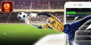 Thuật Ngữ Cá Độ Bóng Đá Thường Gặp Newbie Cần Biết