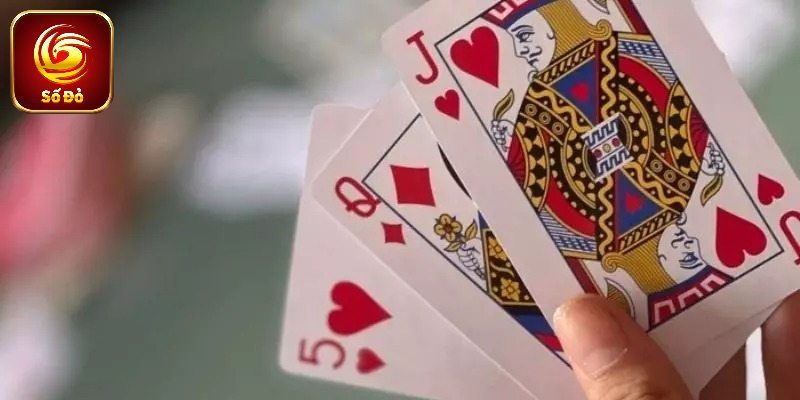 Thuật ngữ chơi bài Xì Dách quan trọng