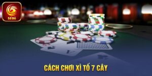Xì Tố 7 Cây Và Những Bí Quyết Chơi Bất Bại Tại Sodo66